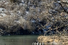 IMG_0459